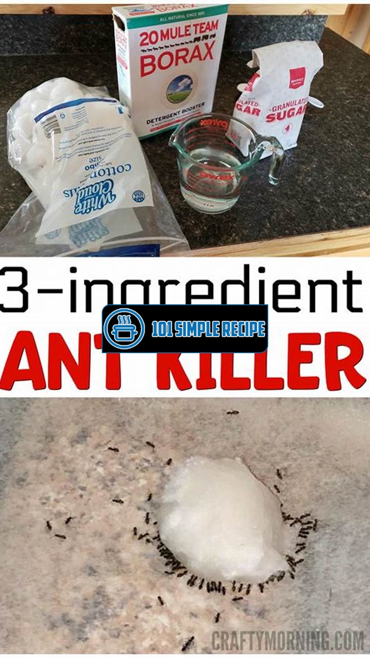 Effective Ant Killer Recipe Using Borax | 101 Simple Recipe