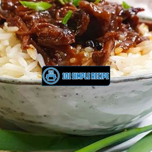 Delicious Chinese Beef Brisket Recipe | 101 Simple Recipe
