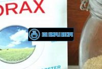 Effective Borax Recipe for Killing Ants Outdoors | 101 Simple Recipe