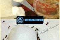 Kill Ants with this Homemade Borax Recipe | 101 Simple Recipe