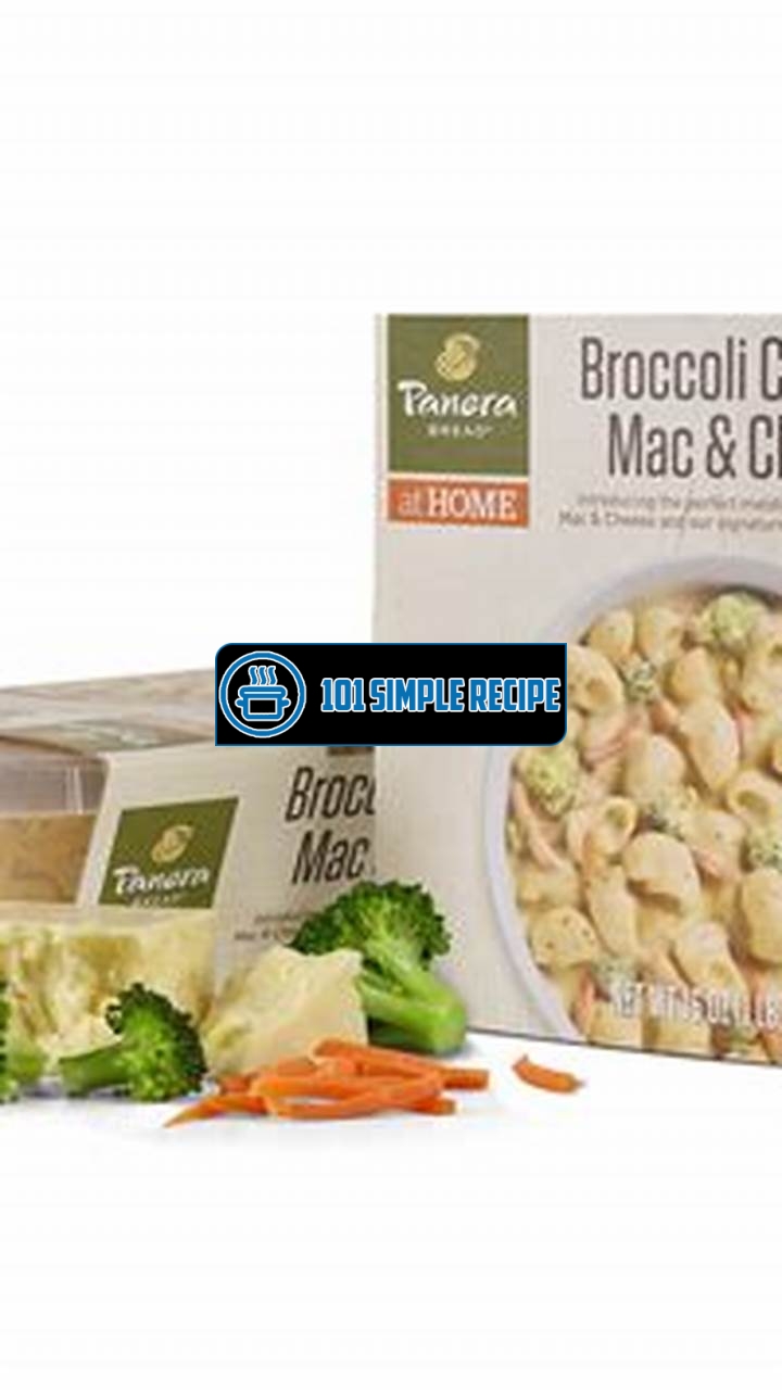 Broccoli Cheddar Mac and Cheese Panera Vegetarian Recipe | 101 Simple Recipe