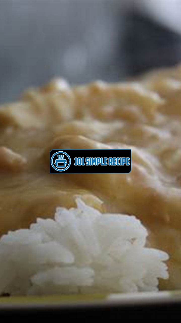 Delicious Chicken and Gravy over Rice | 101 Simple Recipe