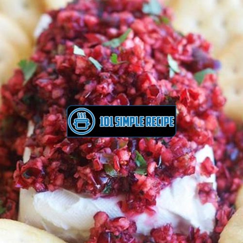 Delicious Cranberry Salsa Recipe with Cream Cheese | 101 Simple Recipe