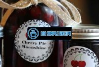Create Delicious Homemade Crockpot Moonshine | 101 Simple Recipe