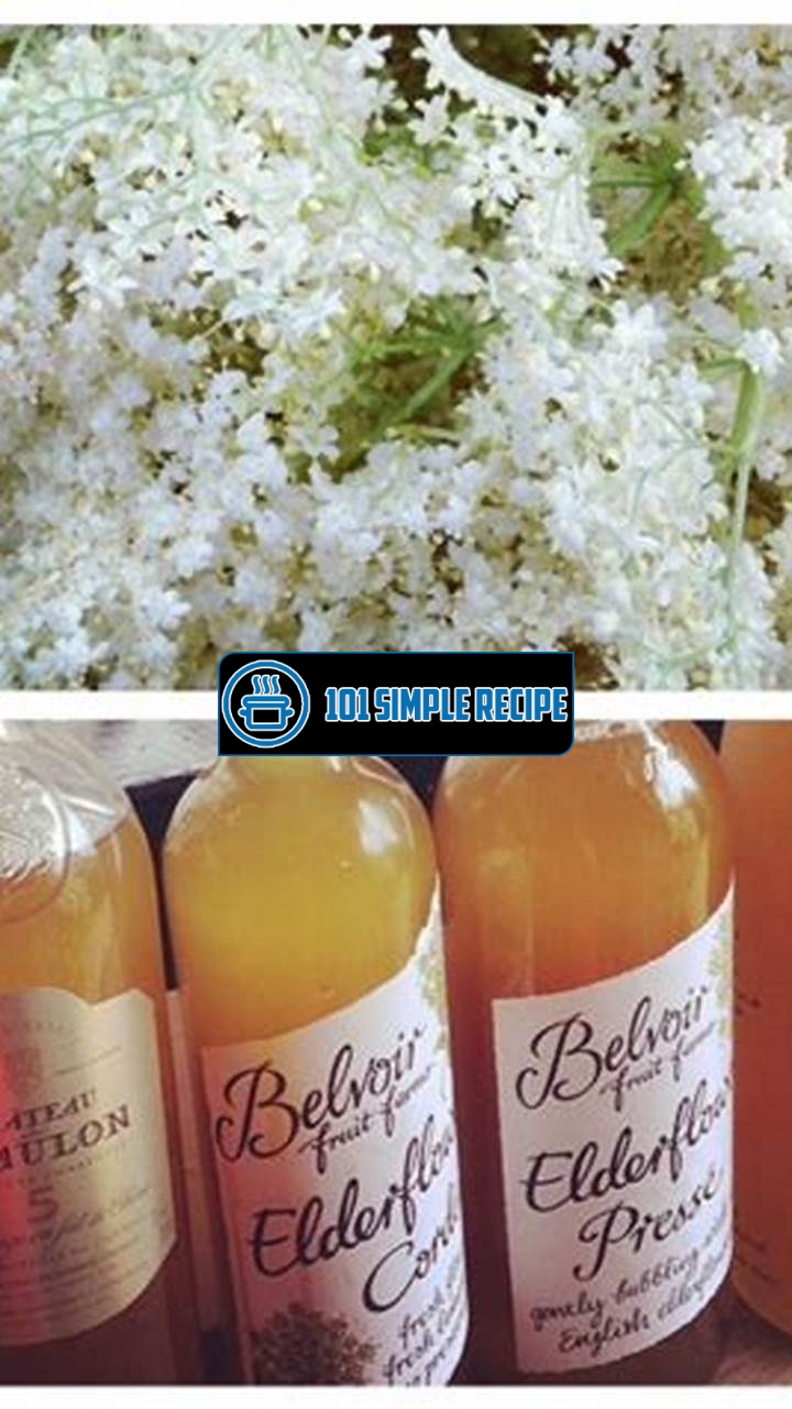 Make Your Own Delicious Elderflower Cordial at Home | 101 Simple Recipe