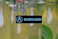 Delicious Elderflower Cordial Recipe Without Citric Acid | 101 Simple Recipe