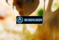 Delicious Crab Dip Recipe with a Twist | 101 Simple Recipe