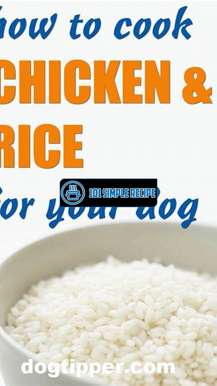 How Much Chicken and Rice to Feed a Dog | 101 Simple Recipe
