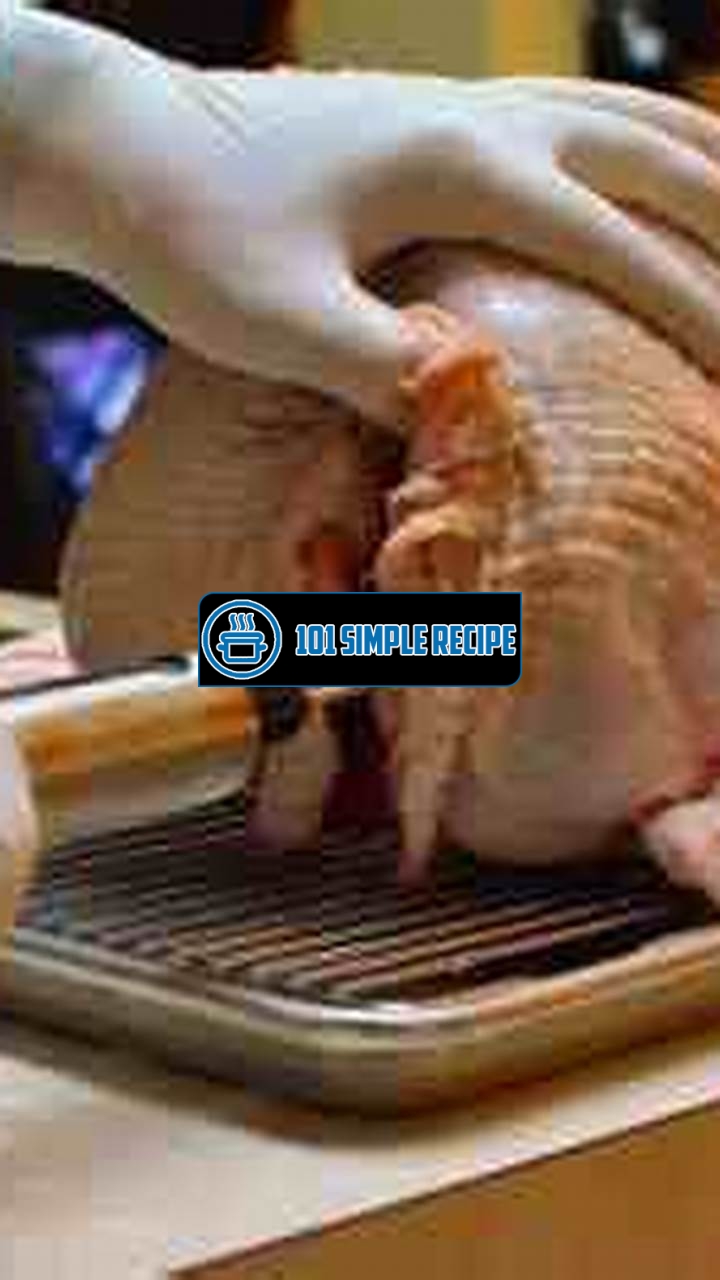 A Juicy Twist to Thanksgiving: Injectable Turkey Brine (Image Source) | 101 Simple Recipe