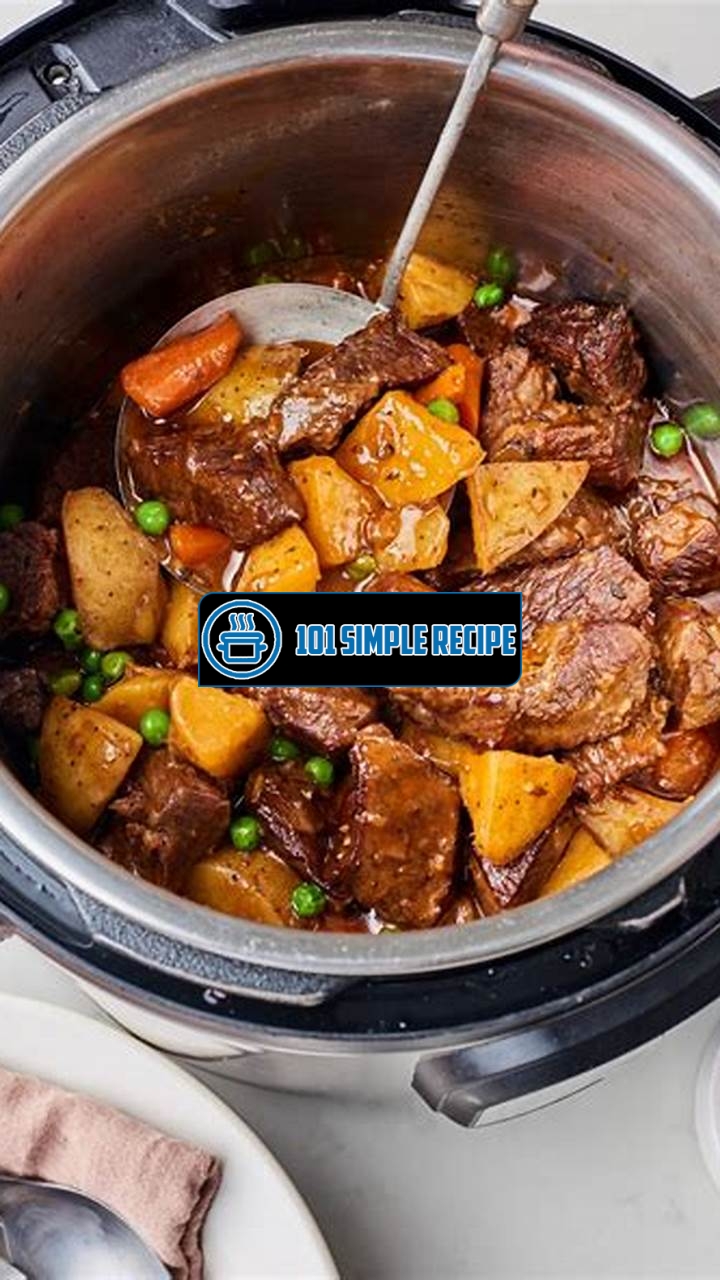 Dive Into Deliciousness with Instant Pot Recipes | 101 Simple Recipe