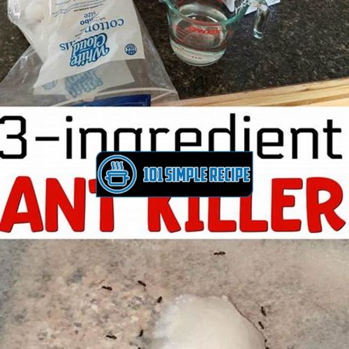 A Foolproof Recipe for Killing Ants with Borax | 101 Simple Recipe