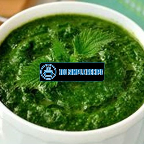 Deliciously Satisfying Nettle Soup Recipe | 101 Simple Recipe