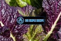 Delicious Purple Mustard Greens Recipe | 101 Simple Recipe