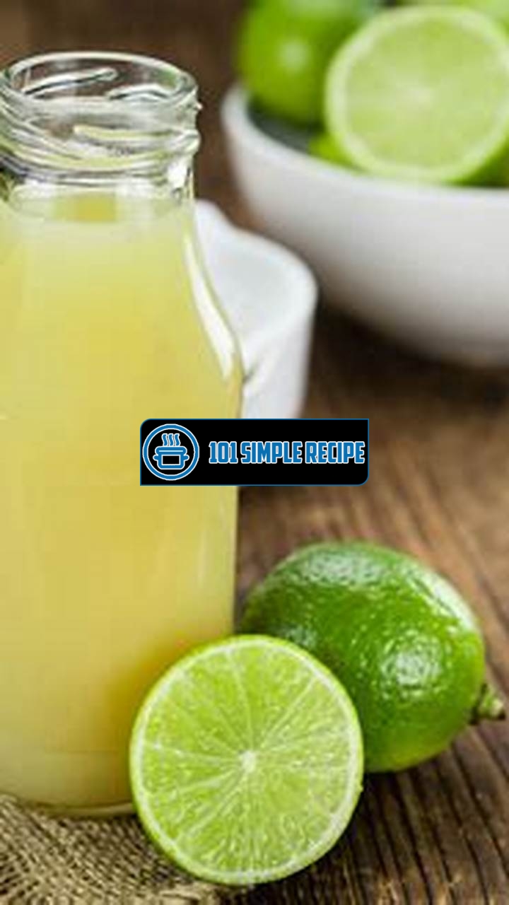 Delicious and Easy Limeade Concentrate Recipes | 101 Simple Recipe