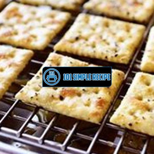 The Irresistible Seasoned Cracker Delight for Food Lovers | 101 Simple Recipe