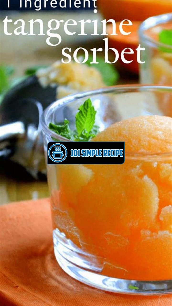 Delicious Tangerine Sorbet Recipe Without an Ice Cream Maker | 101 Simple Recipe